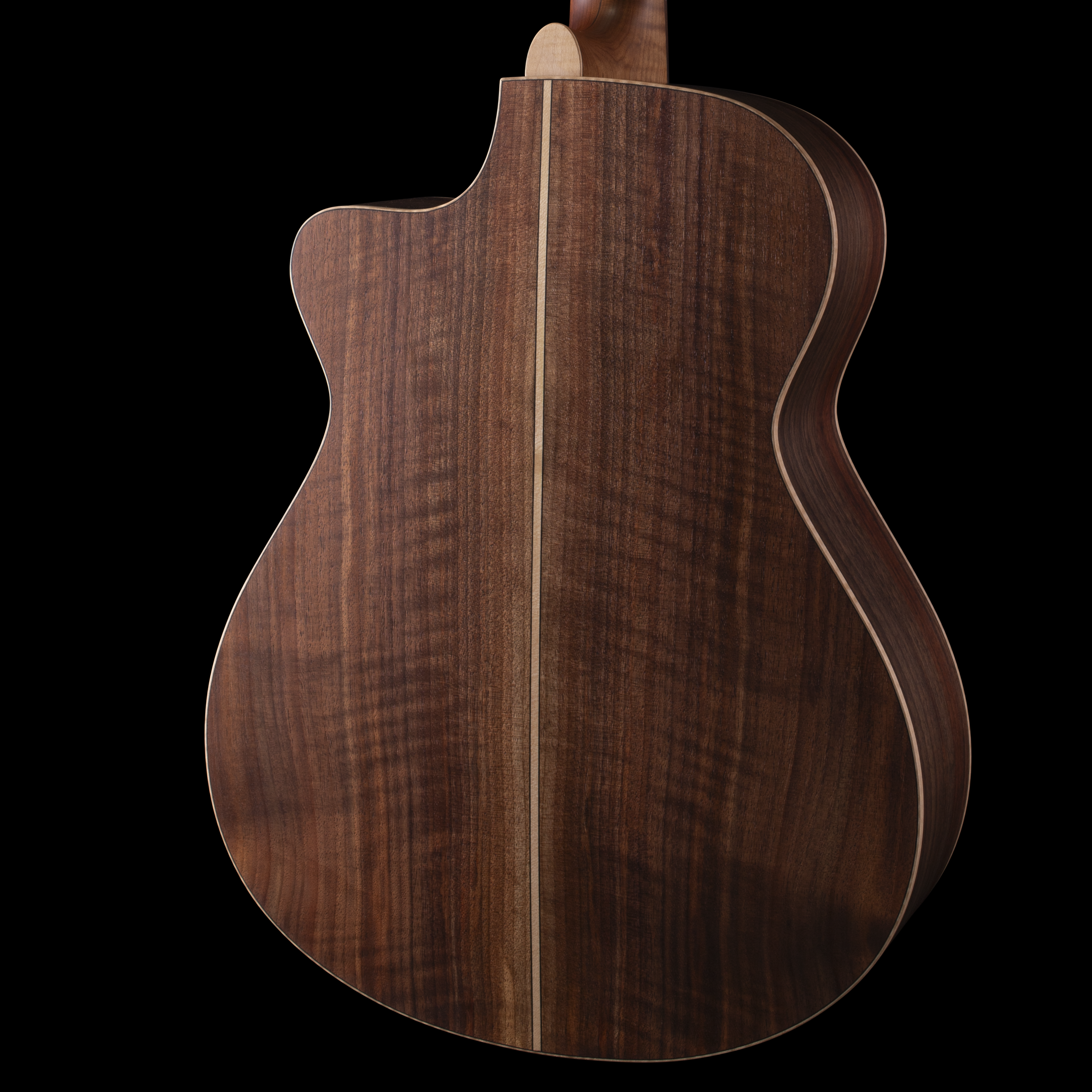 Donovan Leah Caroline Benchmark Cutaway (BGS 2026) Acoustic Guitars