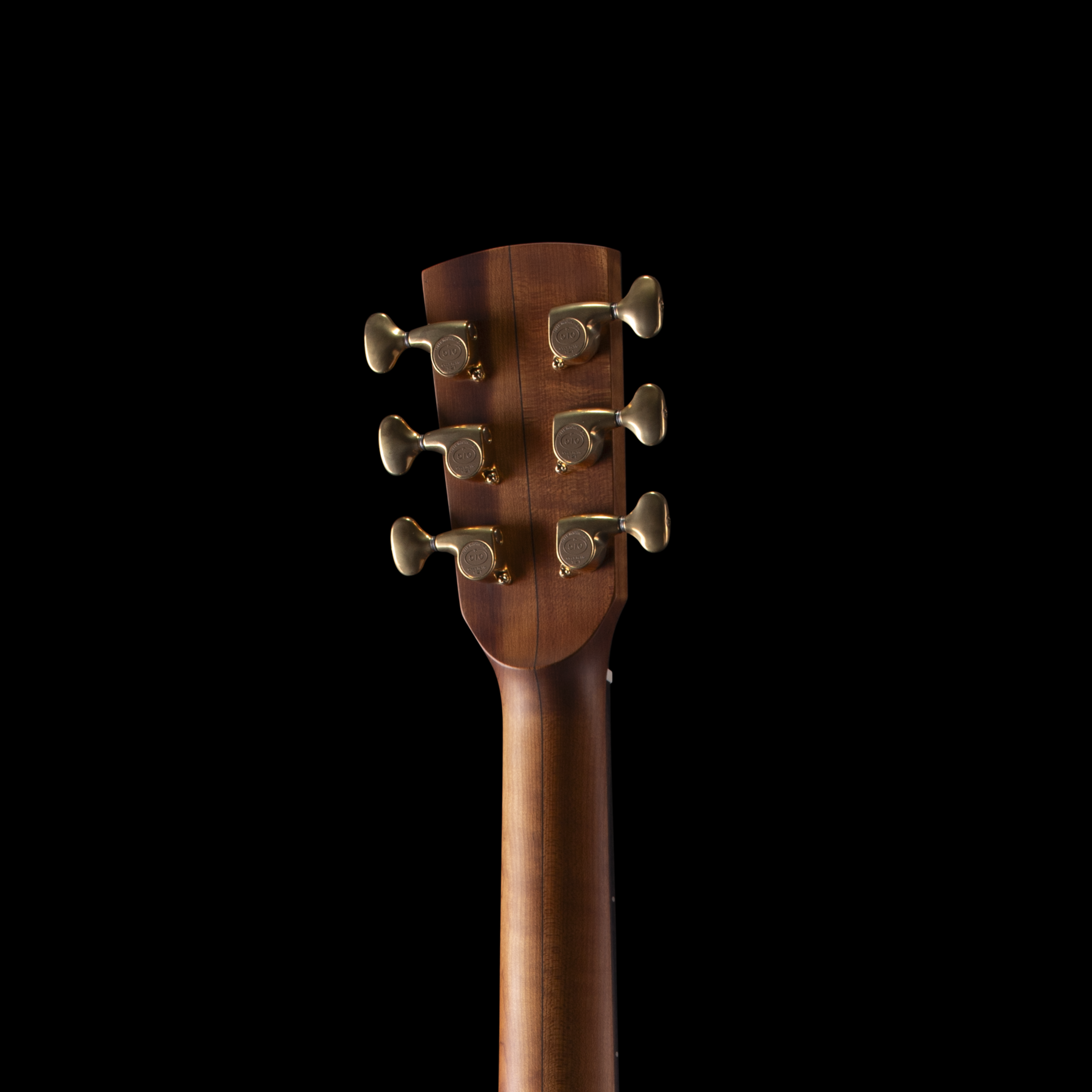 Donovan Leah Caroline Benchmark Cutaway (BGS 2026) Acoustic Guitars