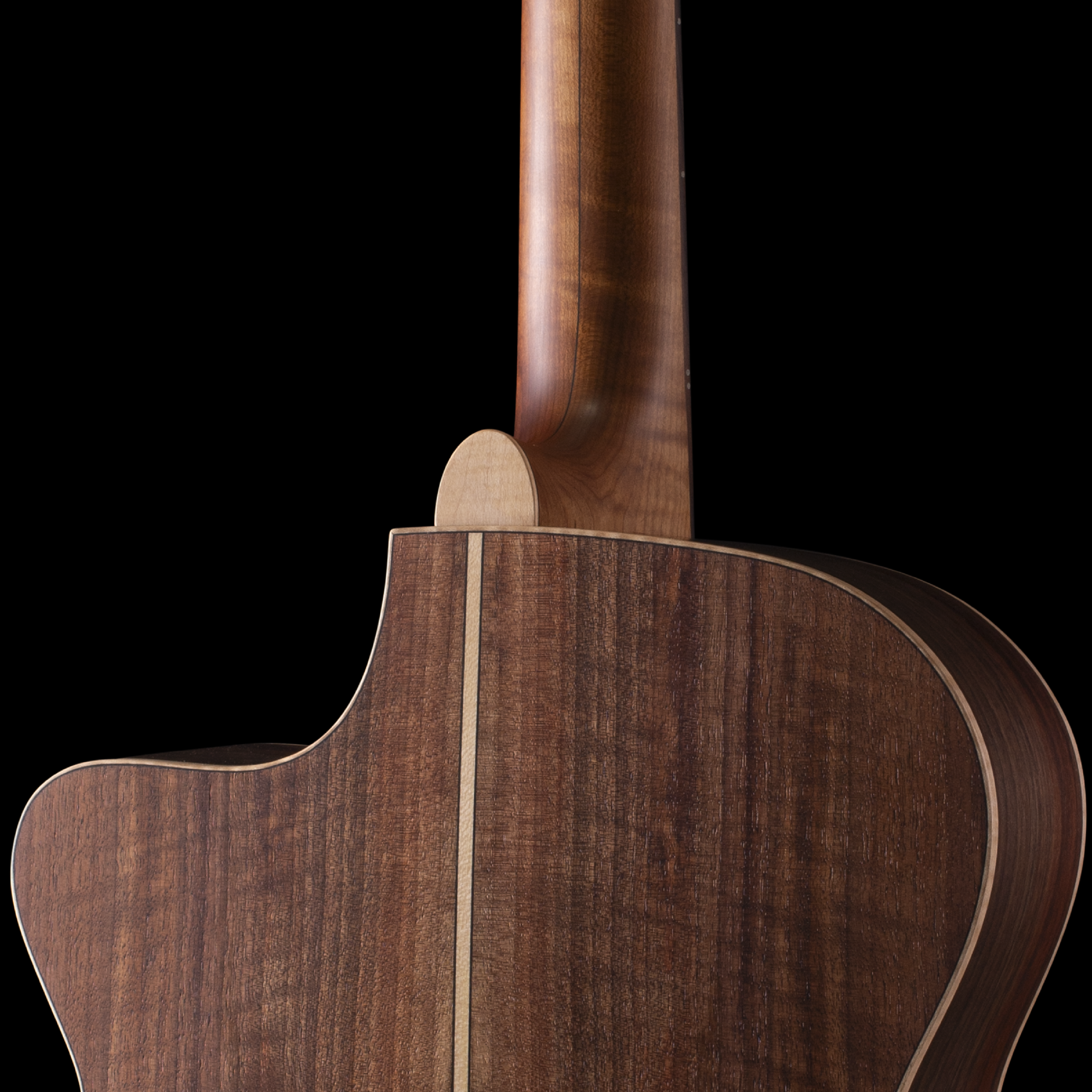 Donovan Leah Caroline Benchmark Cutaway (BGS 2026) Acoustic Guitars