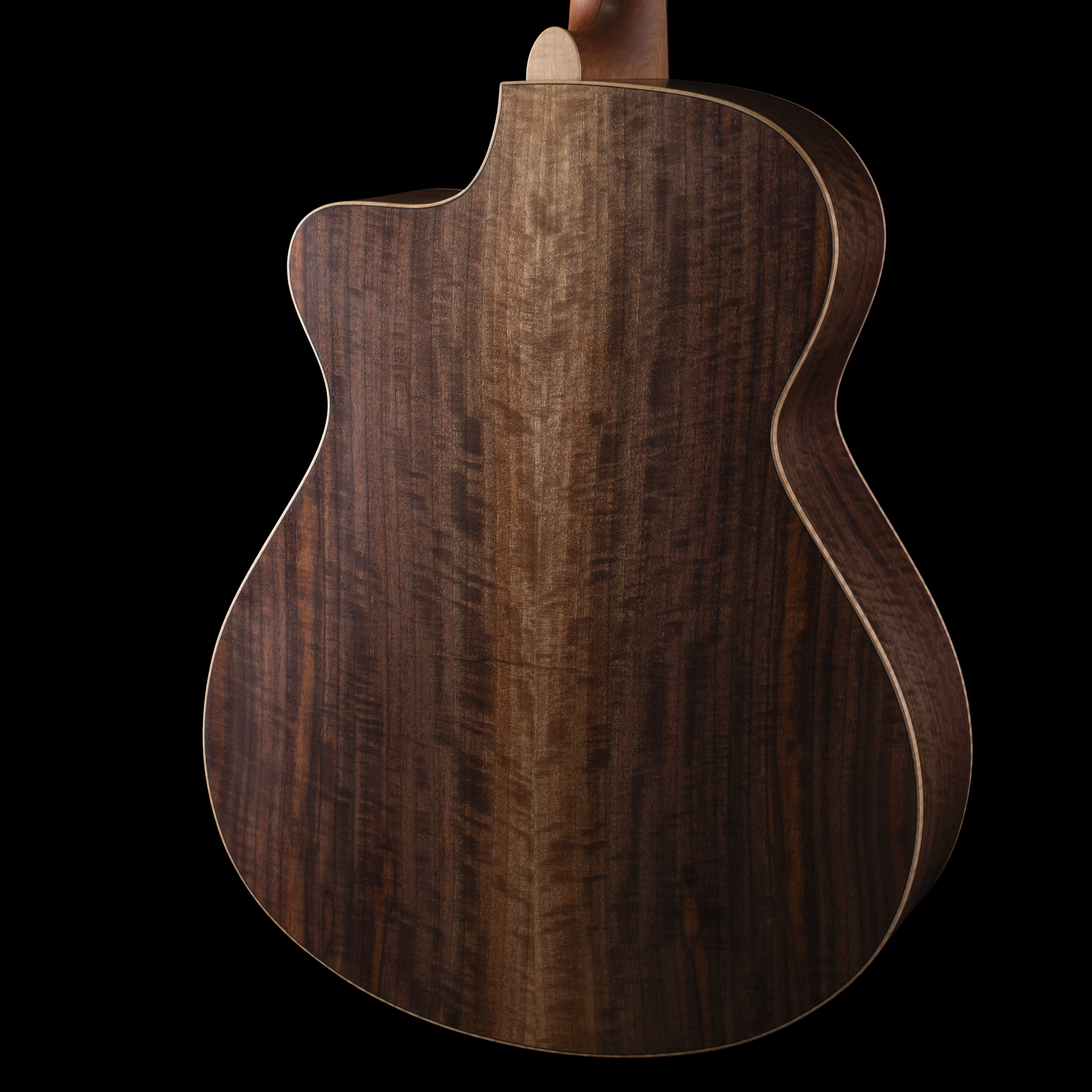 Donovan Leah Caroline Exceptional Cutaway (BGS 2026) Acoustic Guitars