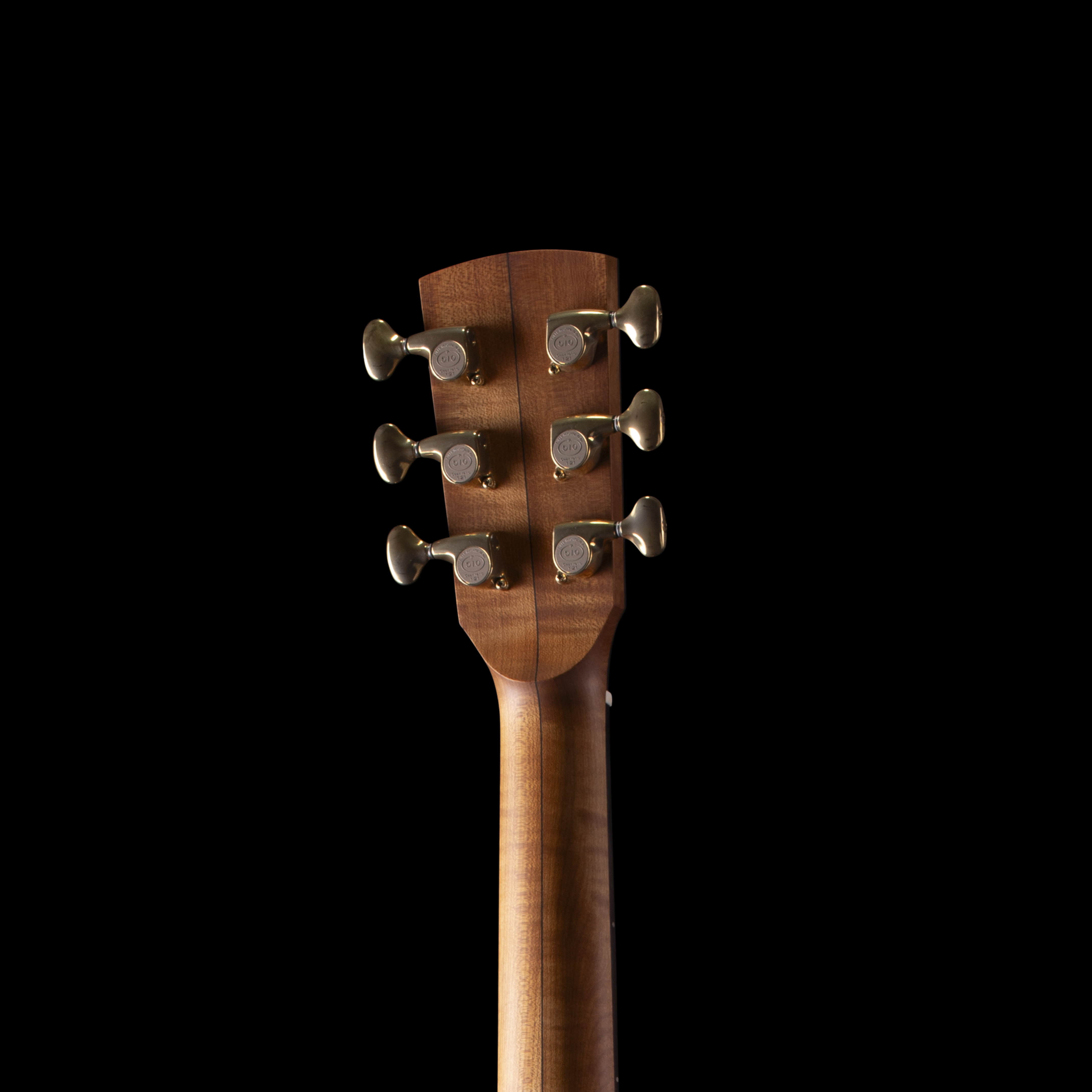 Donovan Leah Caroline Exceptional Cutaway (BGS 2026) Acoustic Guitars
