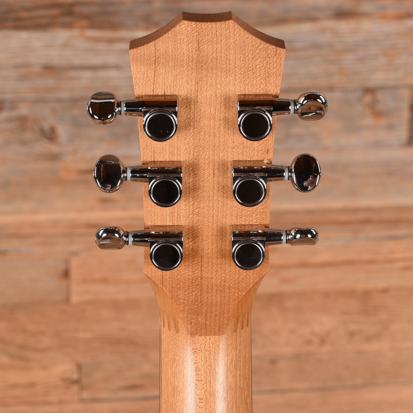 Taylor BT-1e Natural 2024