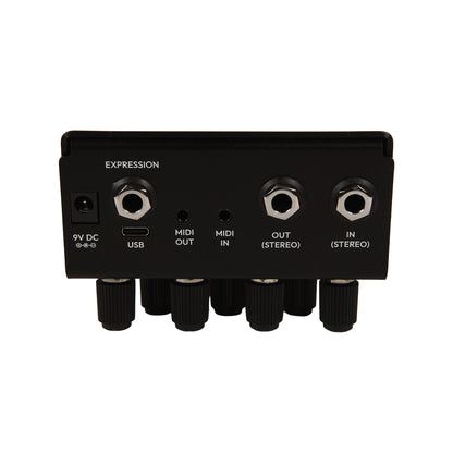 Old Blood Noise Bathing Liminal Delay Pedal Ink