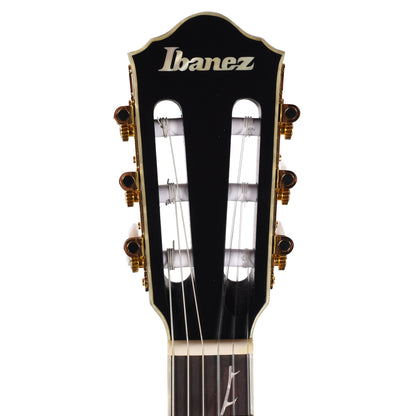 Ibanez TOD20FMNBFL Tim Henson Signature FRH Acoustic-Electric Guitar Black Burst Fade Low Gloss Acoustic Guitars