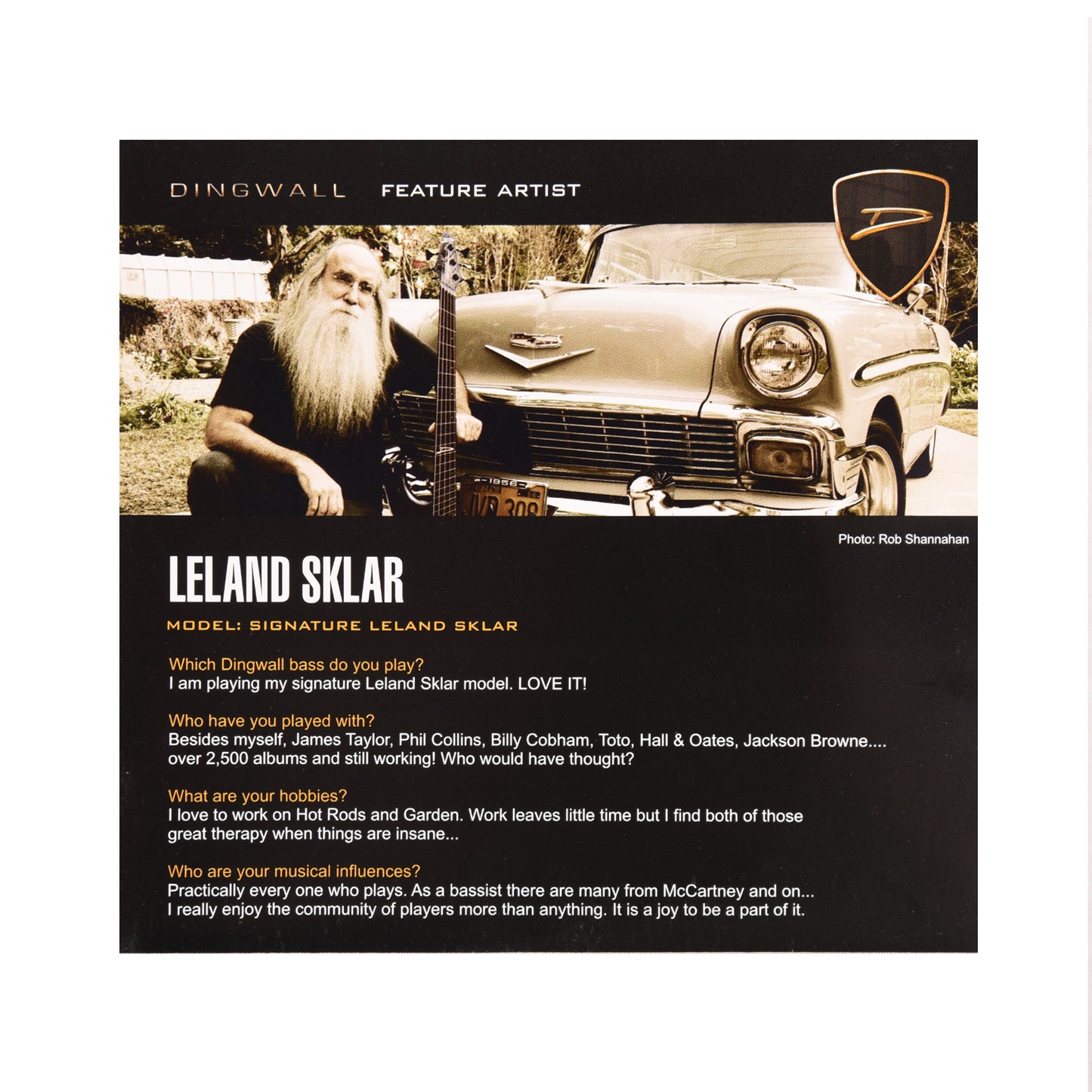 Dingwall Medium Scale SJ/SP 4-String Set Stainless Steel 45-105