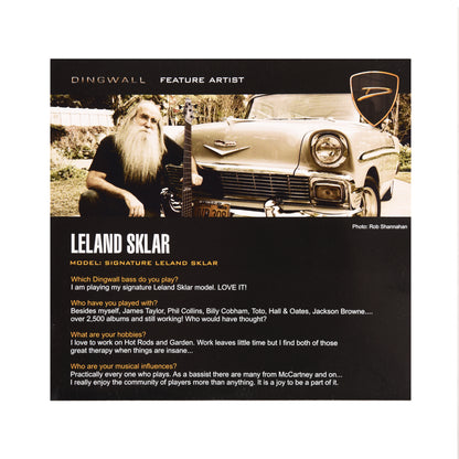 Dingwall Medium Scale SJ/SP 4-String Set Stainless Steel 45-105