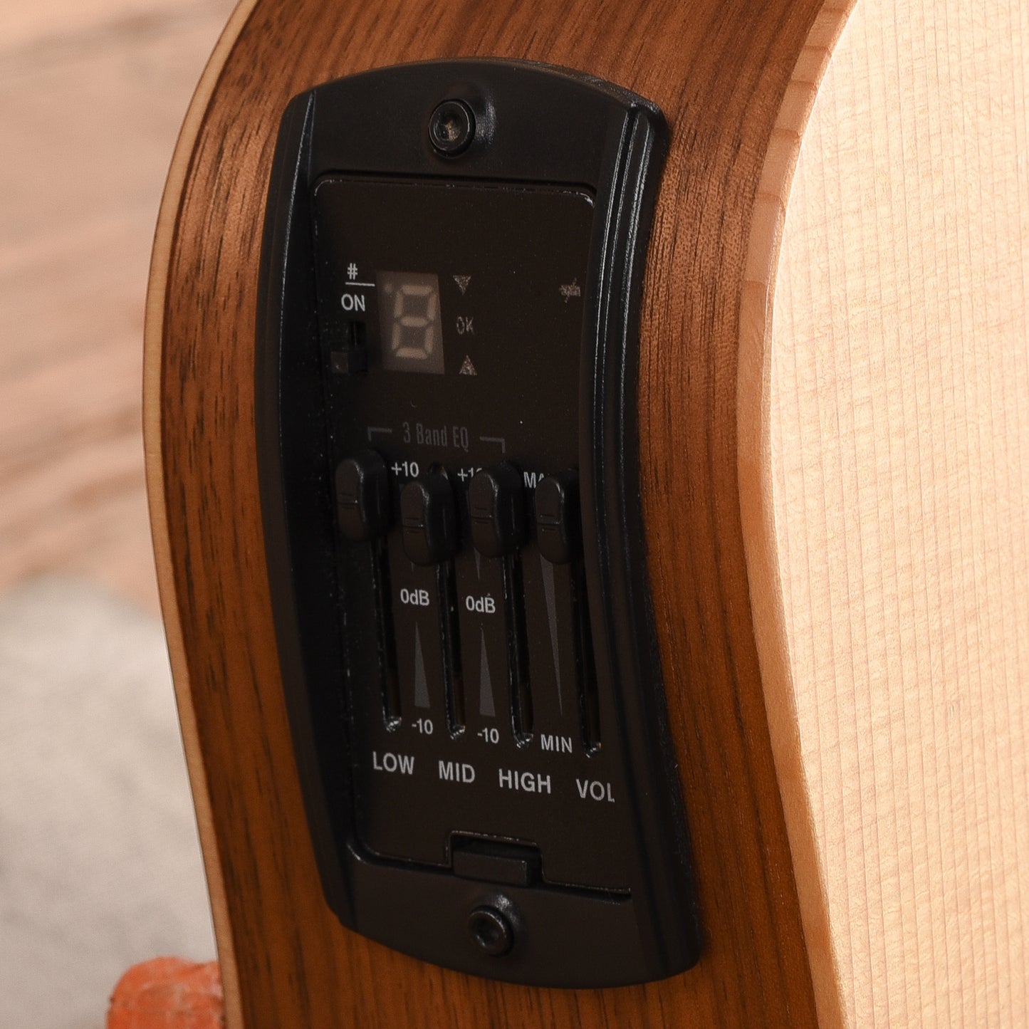Taylor BT-1e Natural 2024
