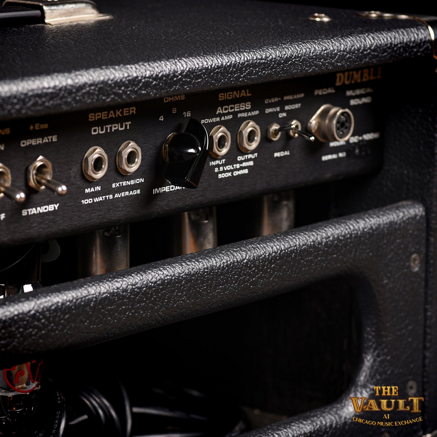 Dumble Over Drive Special (ODS) 100w with 6L6 tubes  2008 Amps / Guitar Amps / Guitar Heads