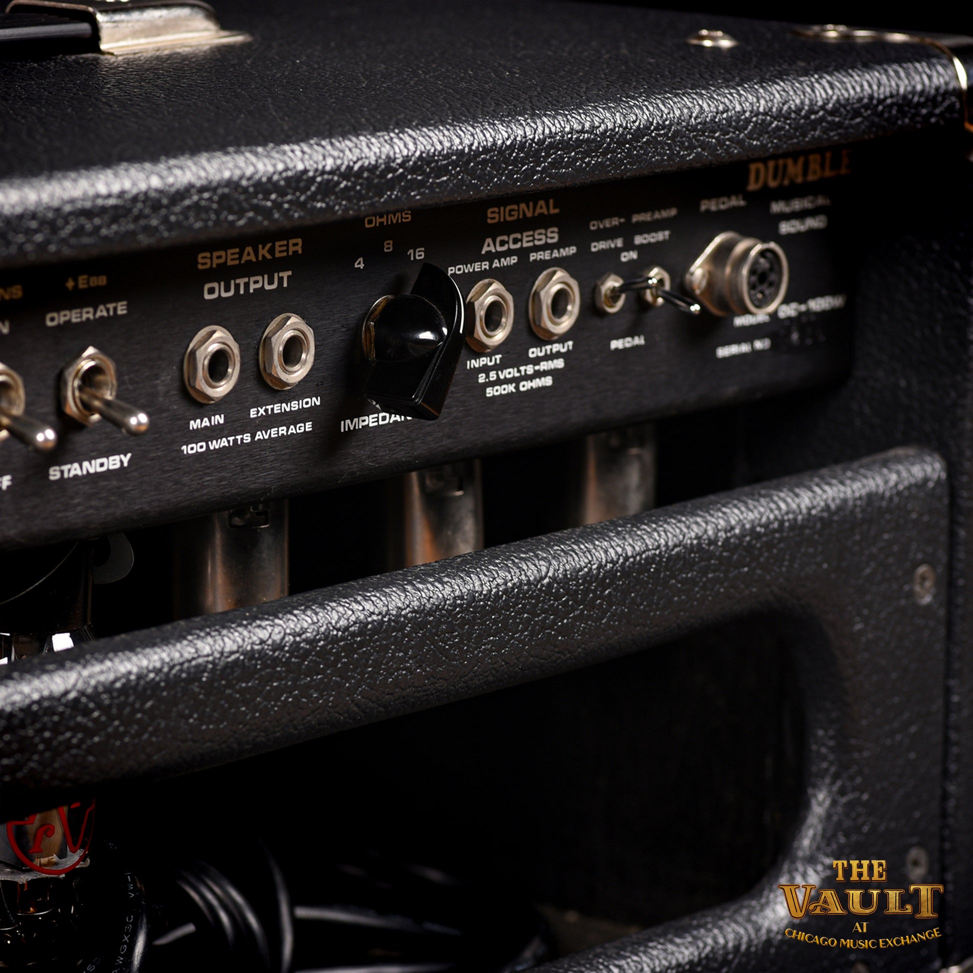 Dumble Over Drive Special (ODS) 100w with 6L6 tubes  2008 Amps / Guitar Amps / Guitar Heads