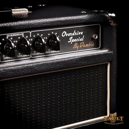 Dumble Over Drive Special (ODS) 100w with 6L6 tubes  2008 Amps / Guitar Amps / Guitar Heads