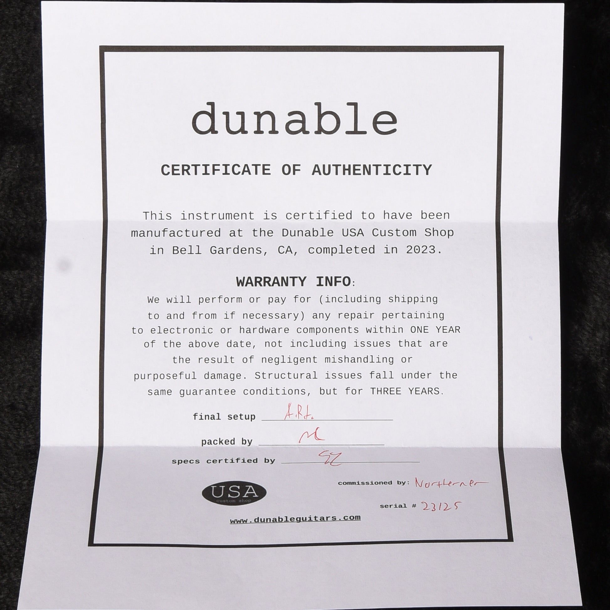 Dunable R2  2023 Electric Guitars / Solid Body