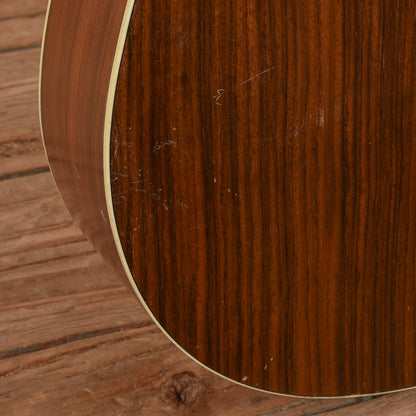 Eastman AC220CE Natural Acoustic Guitars / Dreadnought