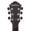 Eastman AR480CE John Pisano 30th Anniversary Edition Sunburst Electric Guitars / Archtop