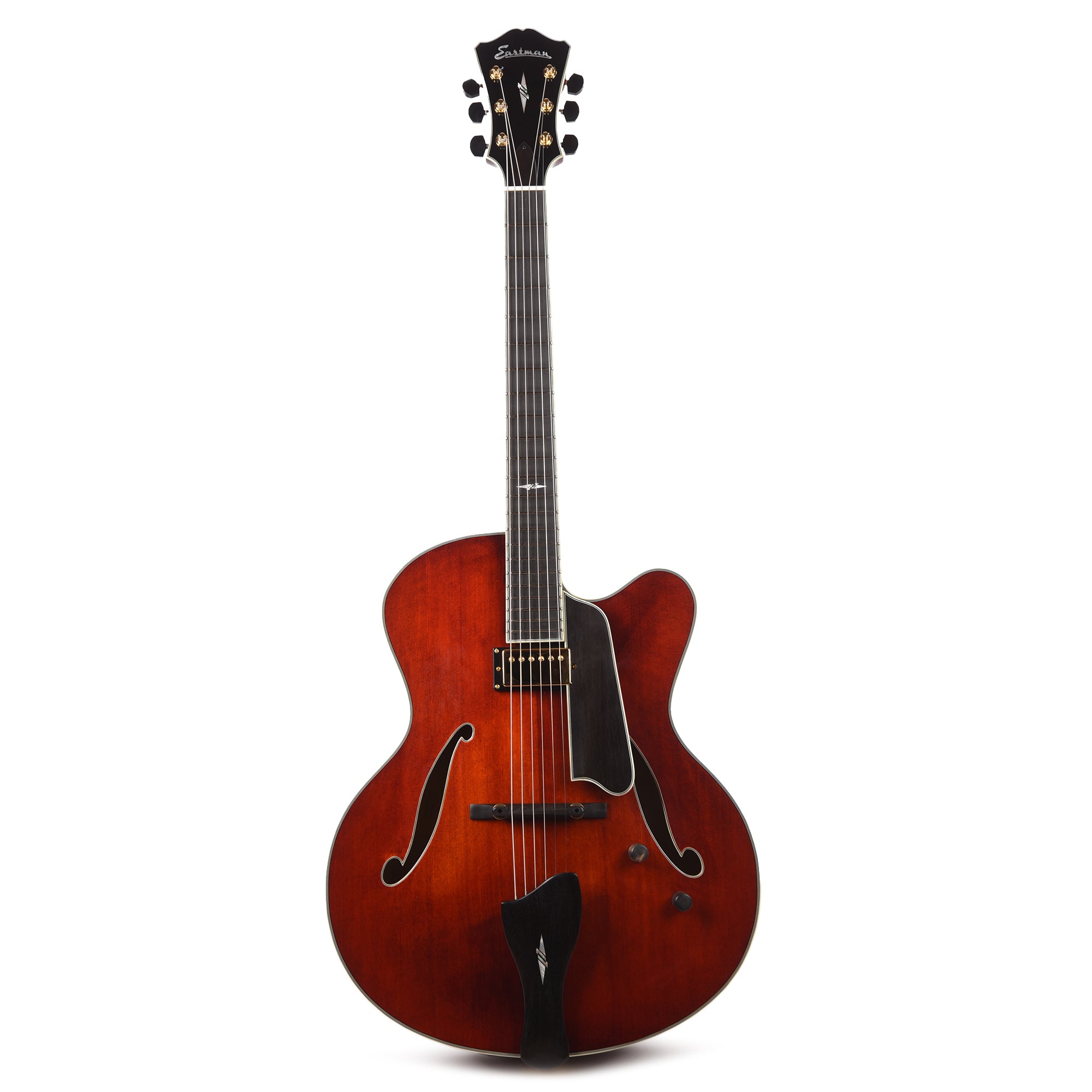 Eastman AR810CE Archtop Classic Electric Guitars / Archtop