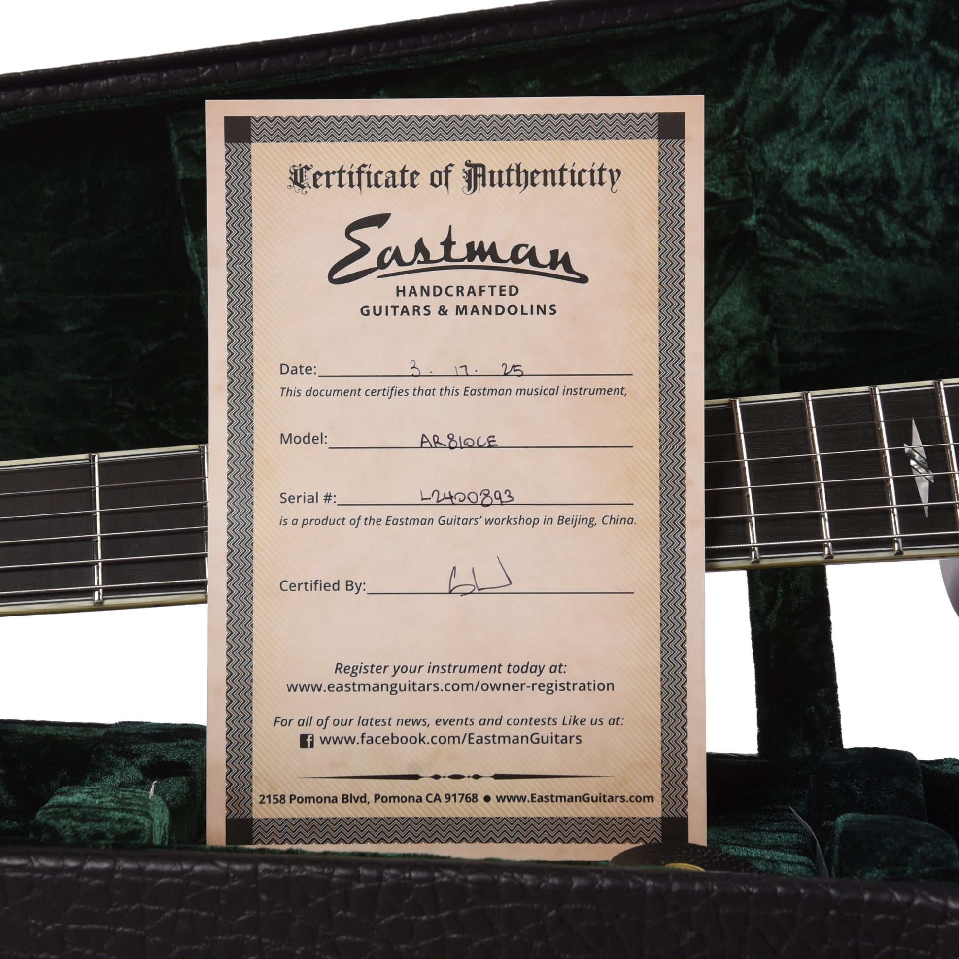 Eastman AR810CE Archtop Classic Electric Guitars / Archtop