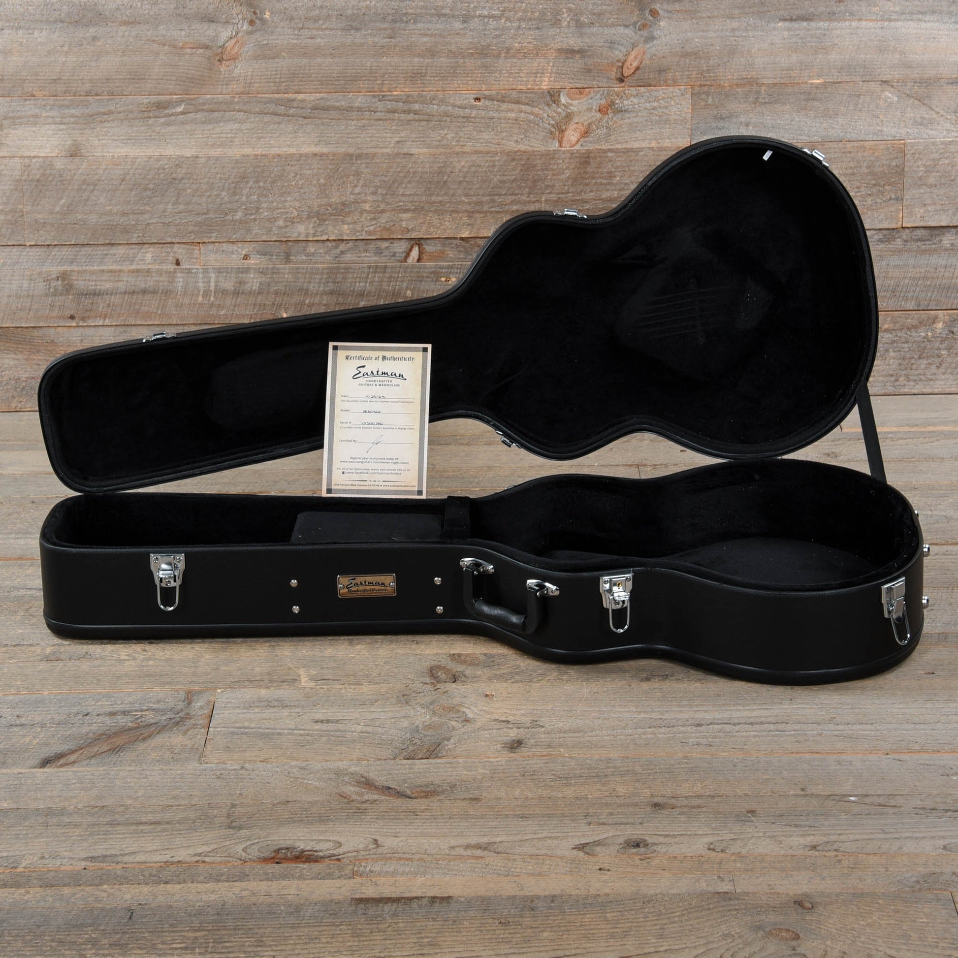 Eastman AR503CE Archtop Classic Electric Guitars / Hollow Body