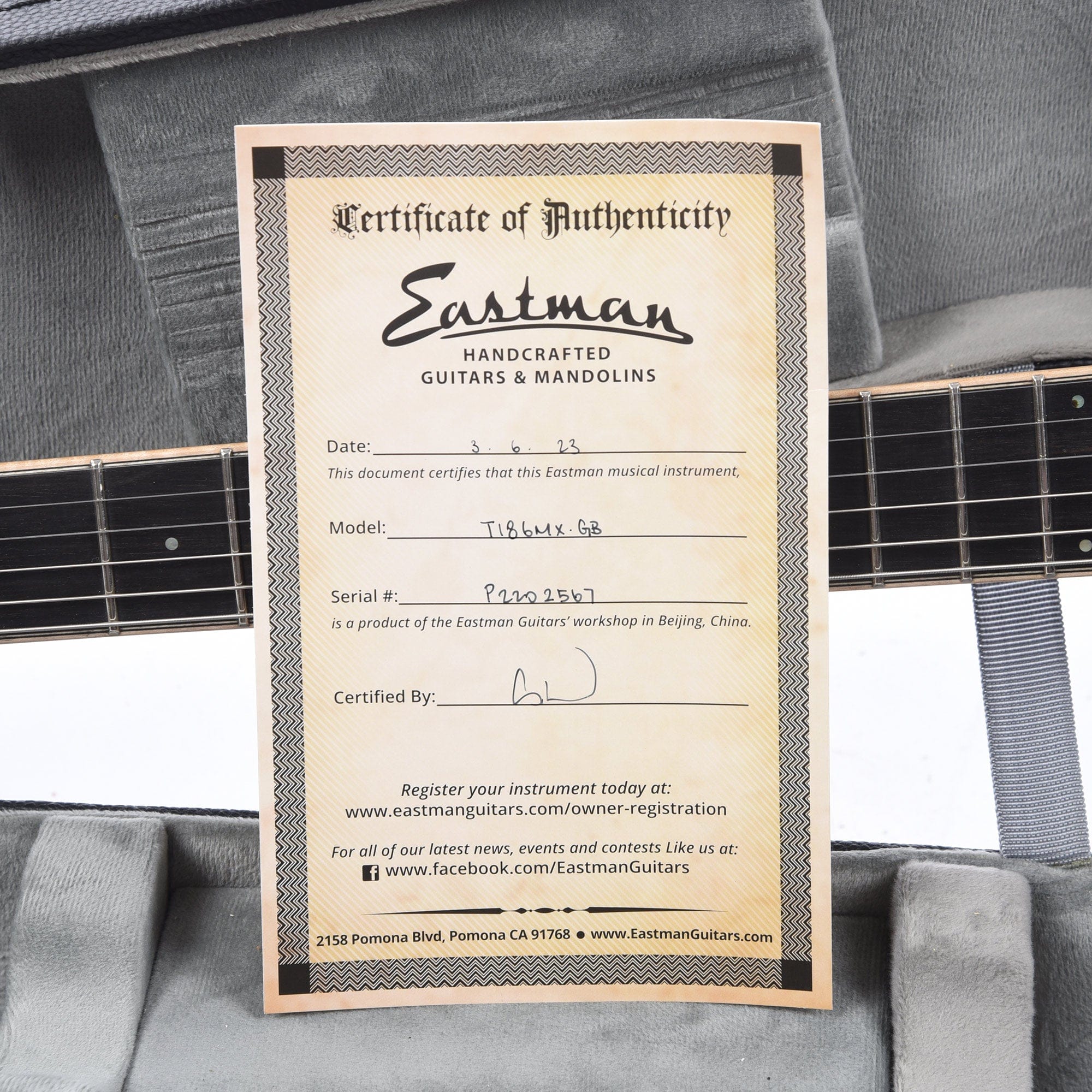Eastman T186MX Thinline Goldburst Electric Guitars / Semi-Hollow
