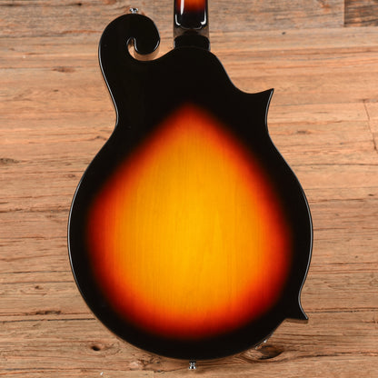 Eastwood 1975 Morris "The Cosey" Sunburst 2017 LEFTY Electric Guitars / Semi-Hollow