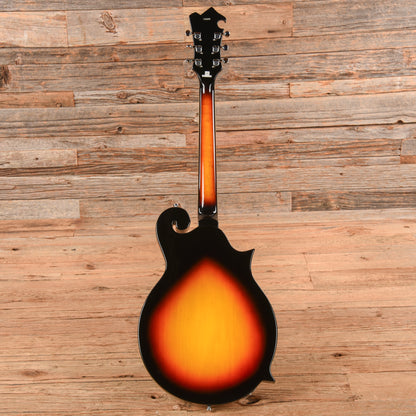 Eastwood 1975 Morris "The Cosey" Sunburst 2017 LEFTY Electric Guitars / Semi-Hollow
