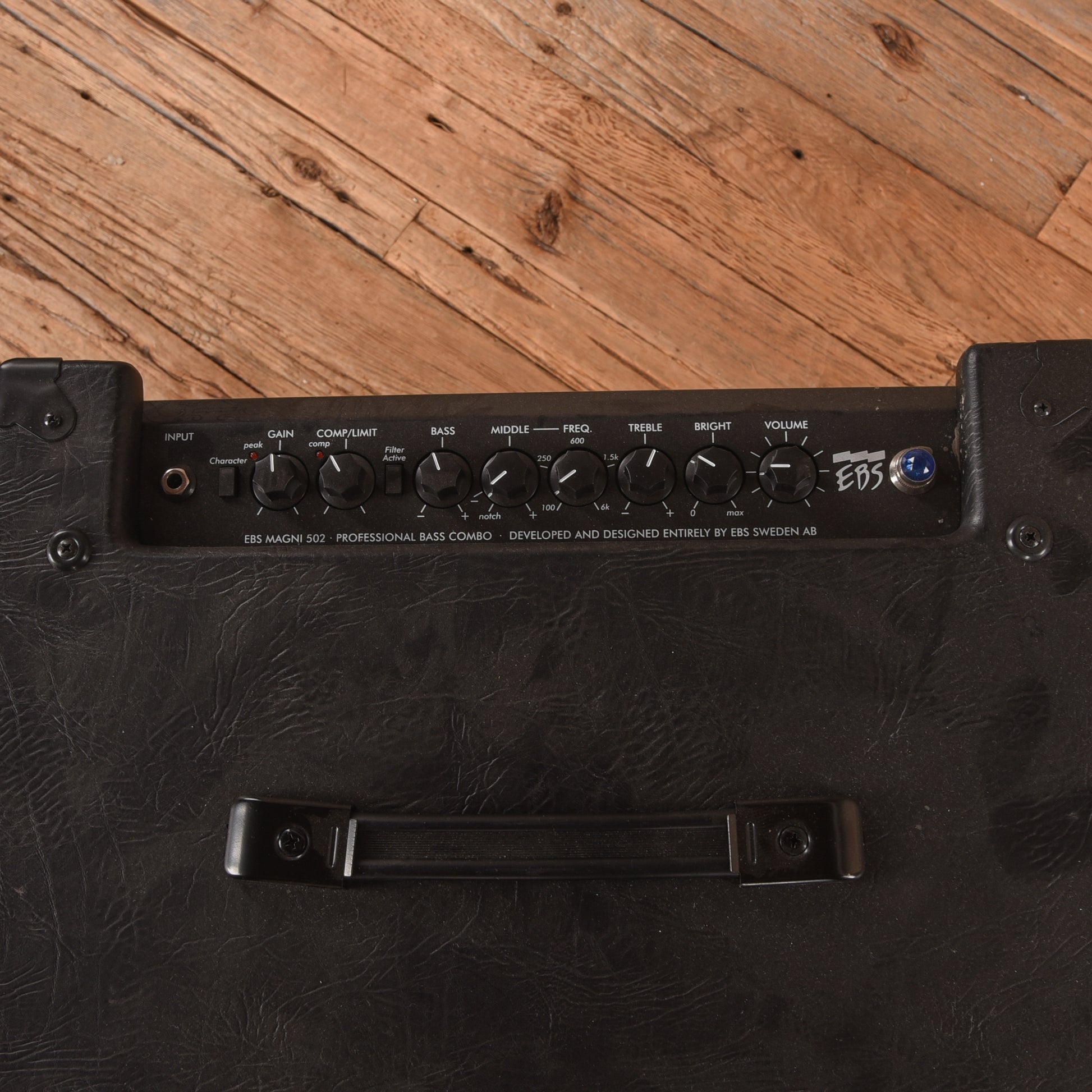 EBS Magni 502 500-Watt 2x10" Bass Combo Amp Amps / Bass Amps / Bass Cabinets