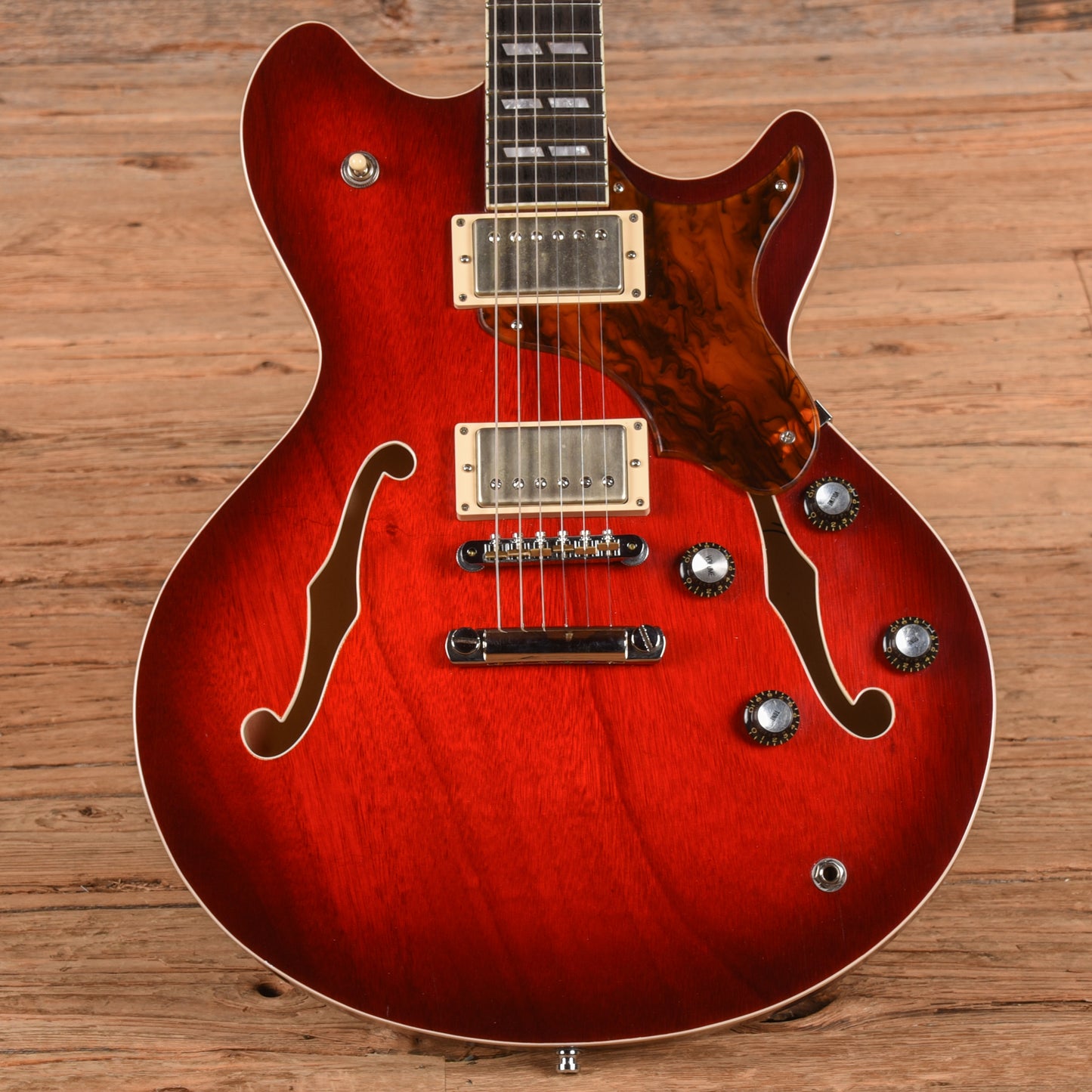 Echopark Esperanto 313 Red Sunburst Electric Guitars / Semi-Hollow