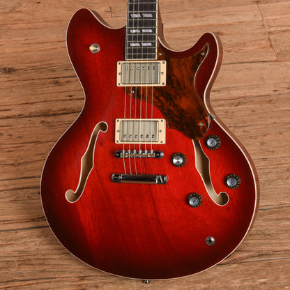 Echopark Esperanto 313 Red Sunburst Electric Guitars / Semi-Hollow