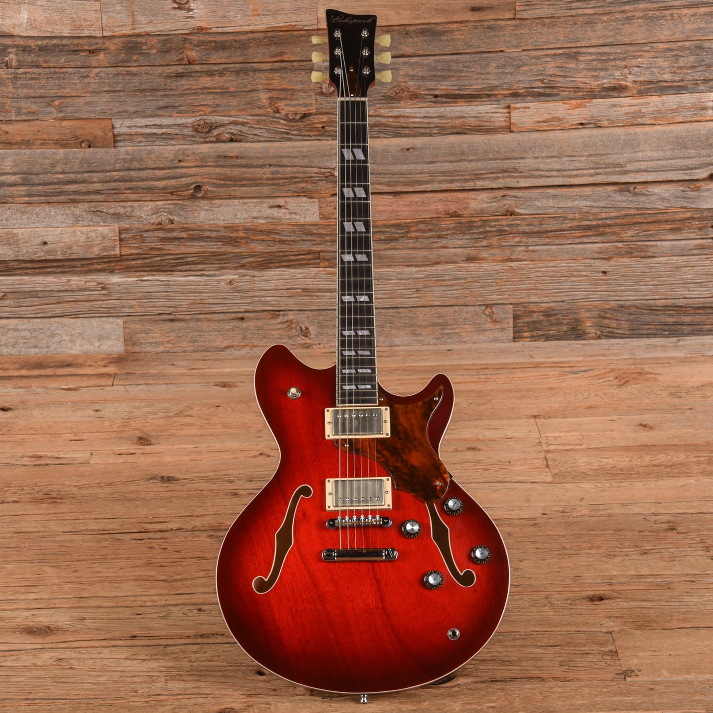 Echopark Esperanto 313 Red Sunburst Electric Guitars / Semi-Hollow