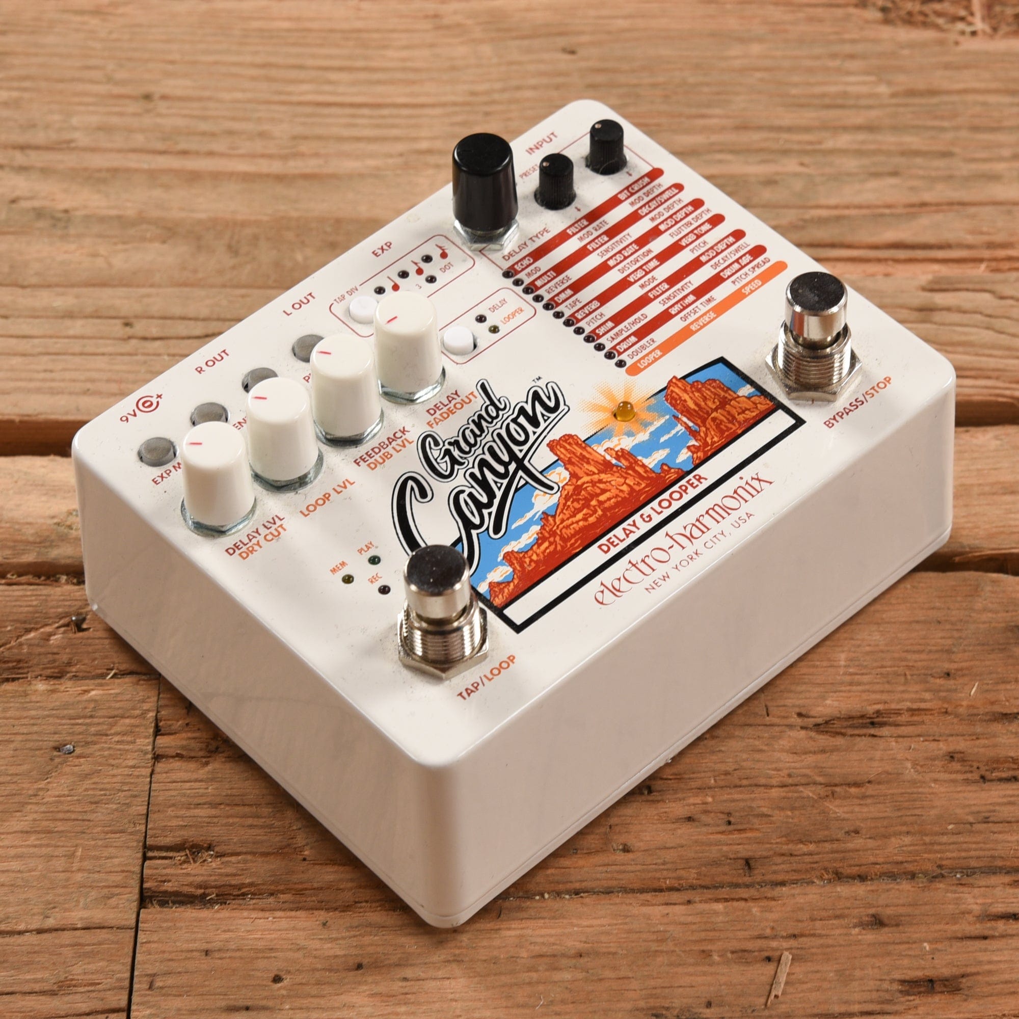 Electro-Harmonix Grand Canyon Delay and Looper Effects and Pedals / Delay