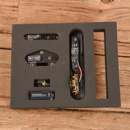 EMG Retro Active T 52 System Parts / Guitar Pickups