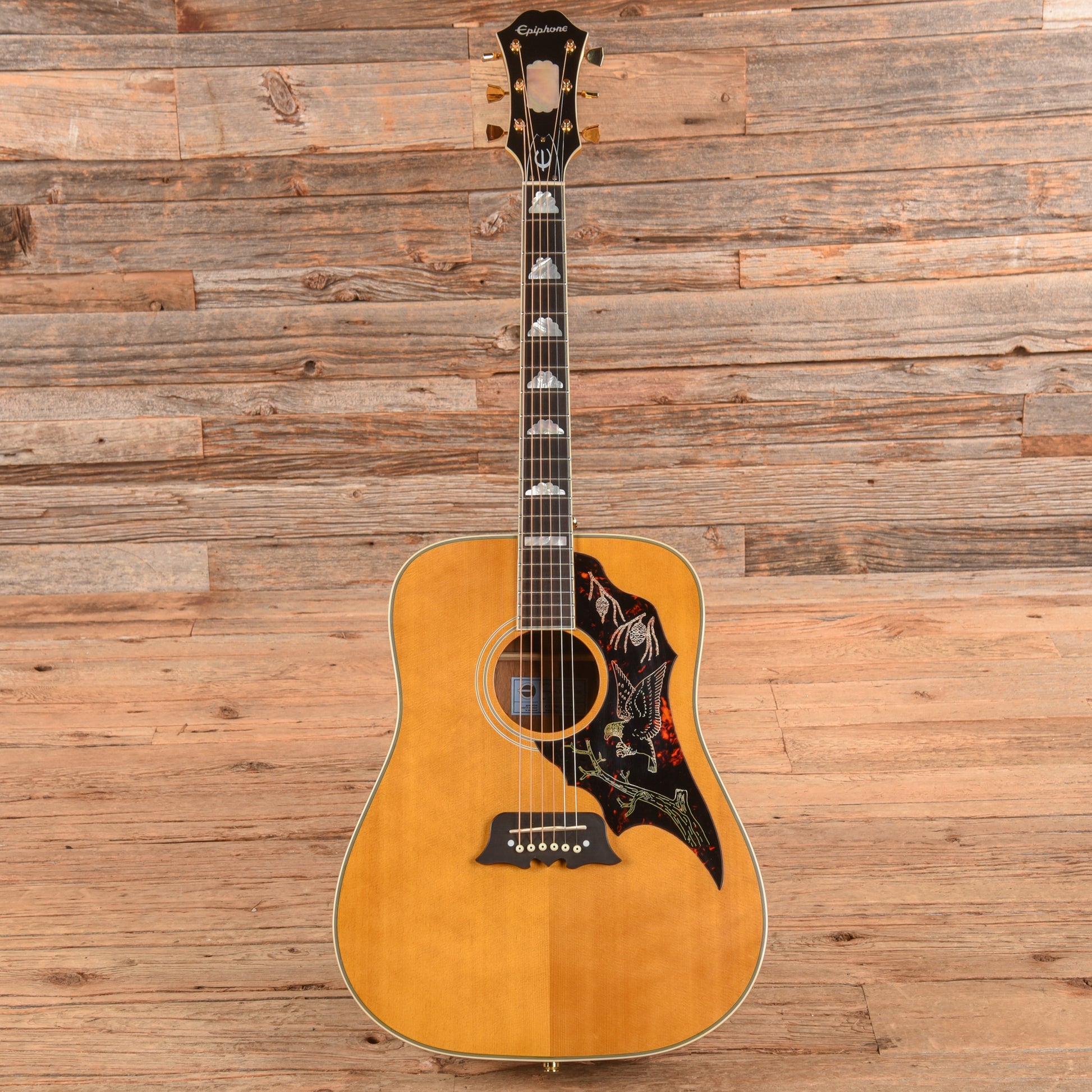 Epiphone Masterbilt FT-120 Excellente Natural 2020 Acoustic Guitars / Dreadnought
