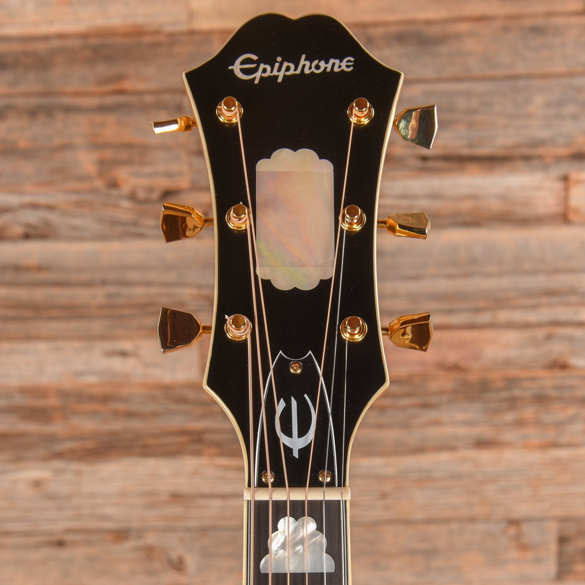 Epiphone Masterbilt FT-120 Excellente Natural 2020 Acoustic Guitars / Dreadnought