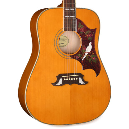 Epiphone Modern Dove Studio Natural Acoustic Guitars / Dreadnought