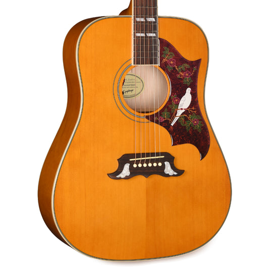Epiphone Modern Dove Studio Natural Acoustic Guitars / Dreadnought