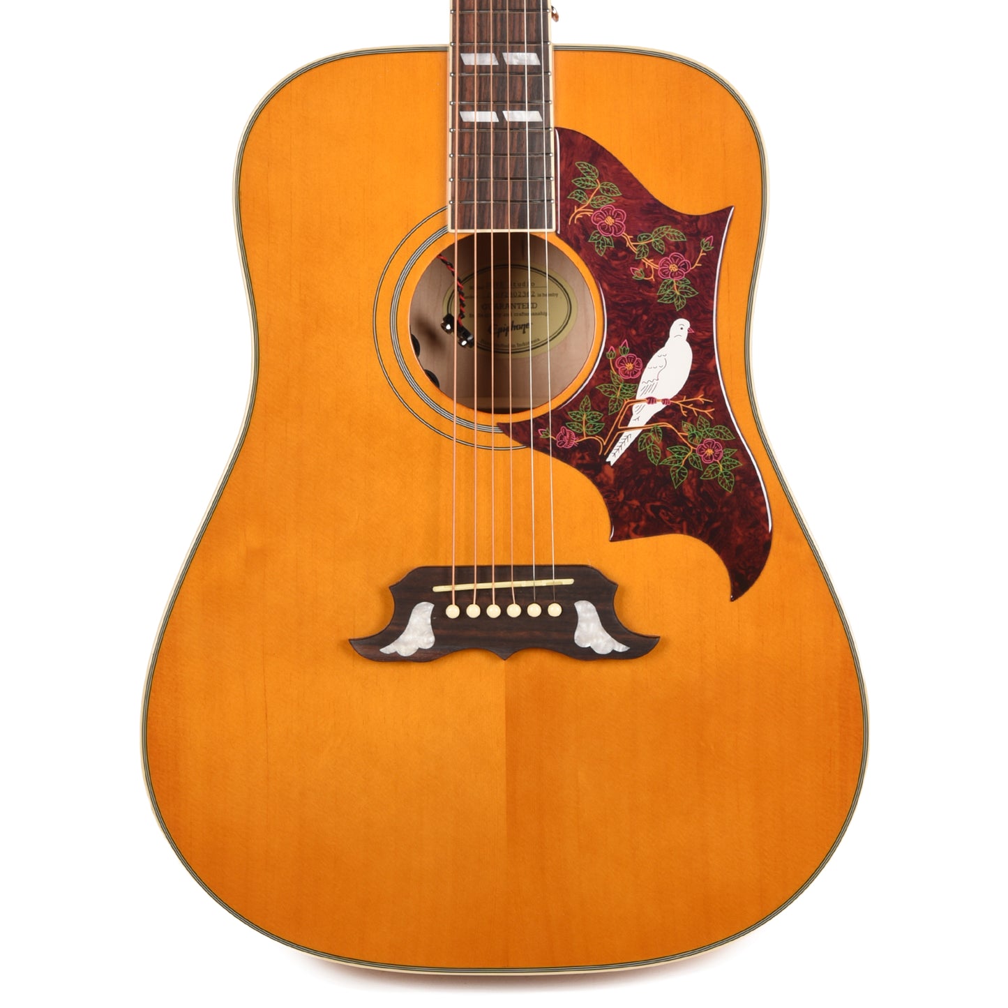 Epiphone Modern Dove Studio Natural Acoustic Guitars / Dreadnought