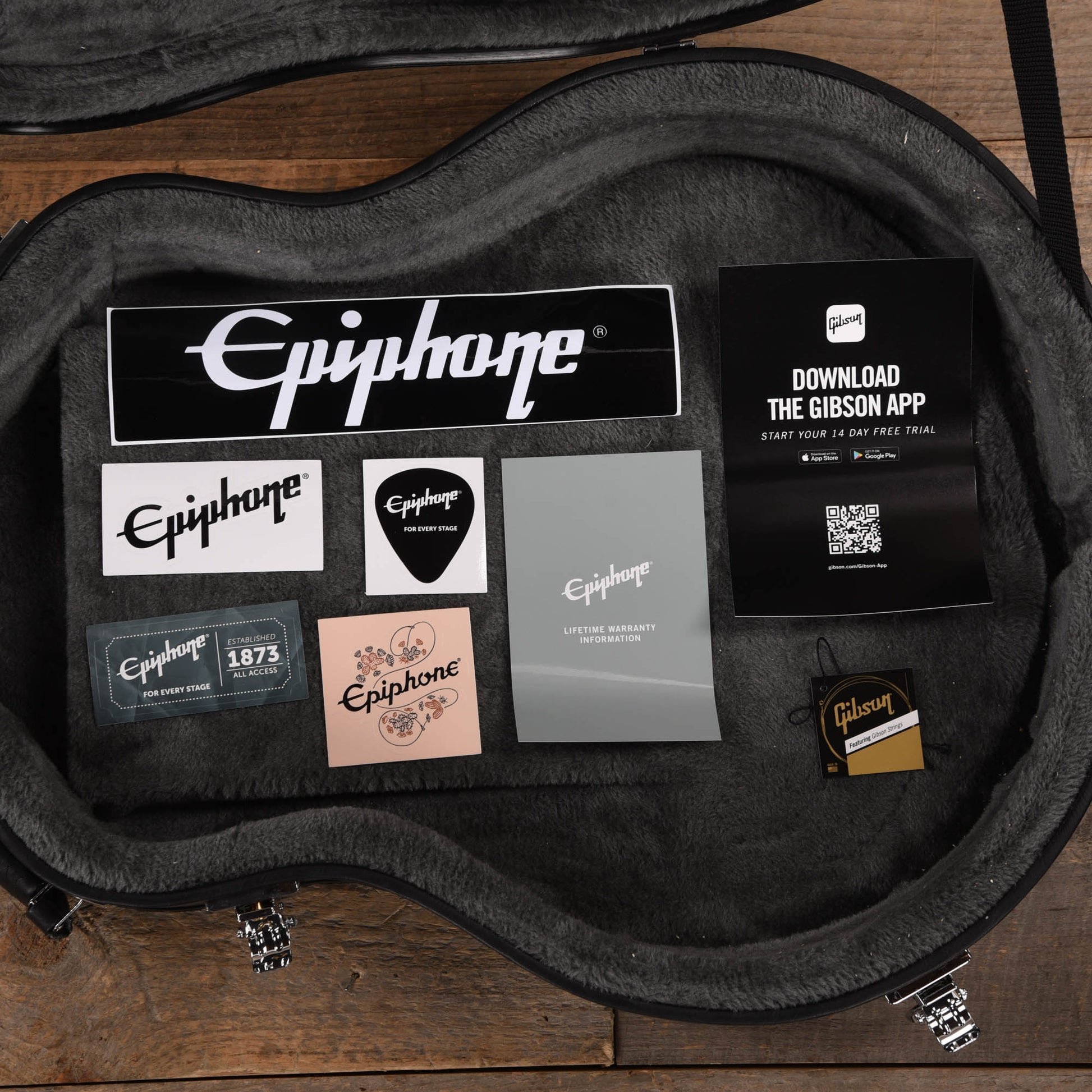 Epiphone Artist Dave Grohl DG-335 Pelham Blue Electric Guitars / Hollow Body