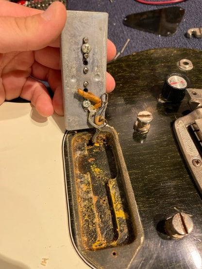 Epiphone Coronet Dog Hair 1964 Electric Guitars / Solid Body