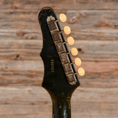 Epiphone Coronet Dog Hair 1964 Electric Guitars / Solid Body