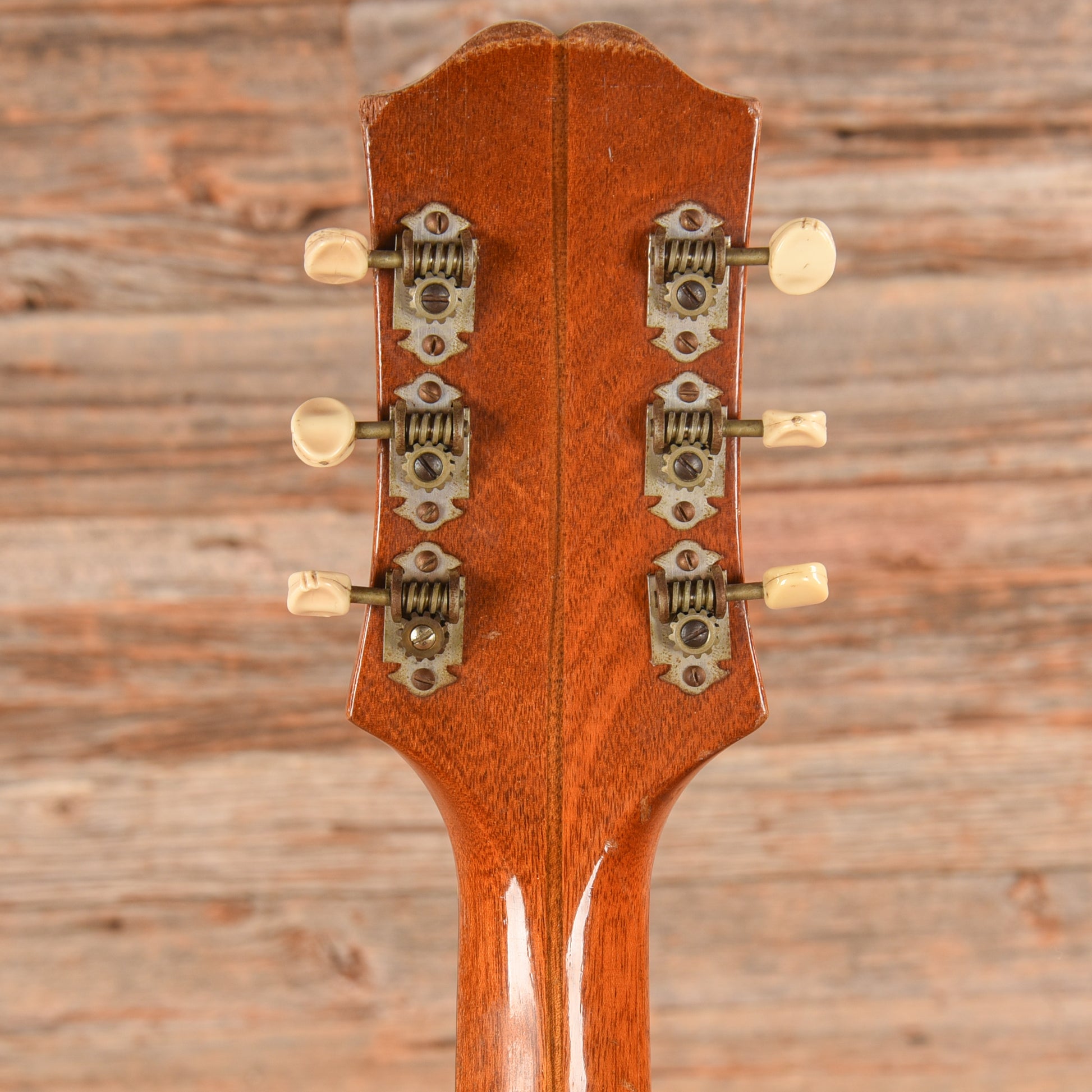 Epiphone Zenith  1951