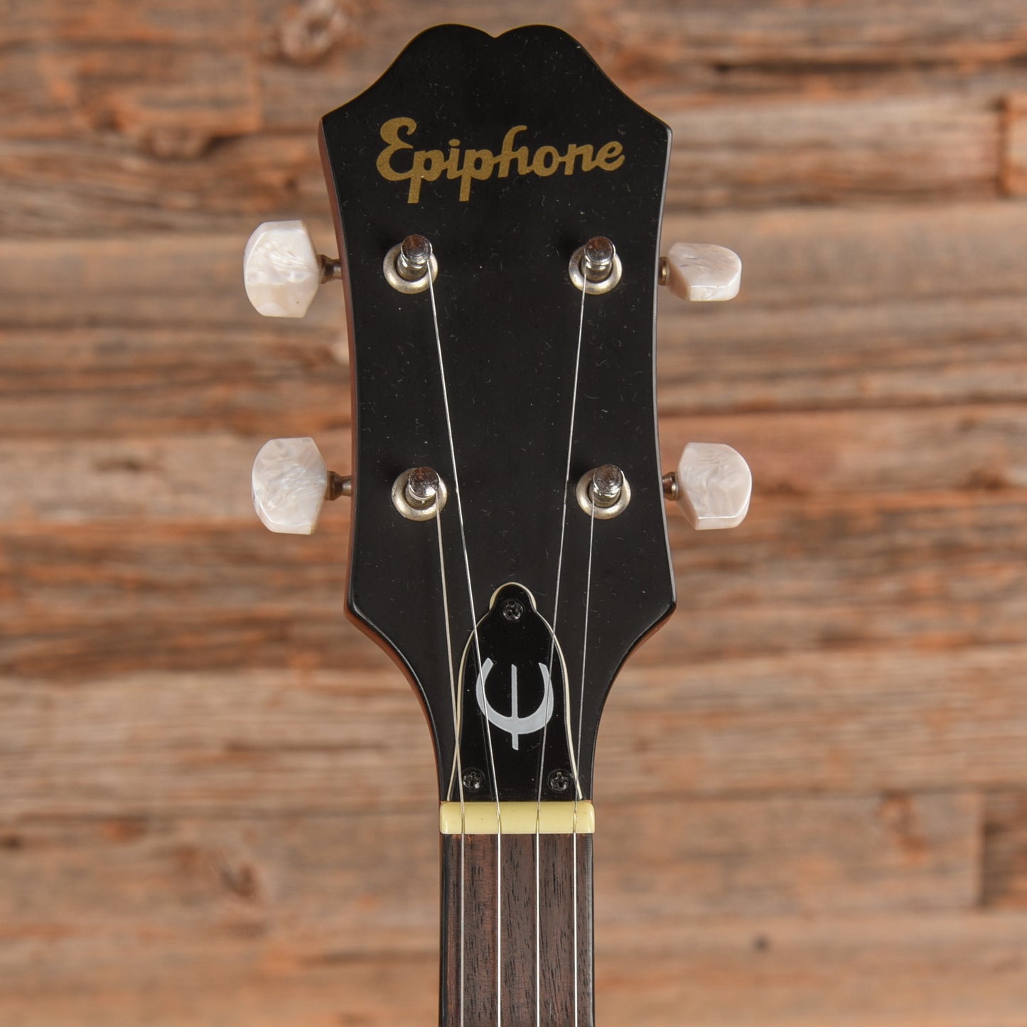 Epiphone MB-100 Folk Instruments / Banjos