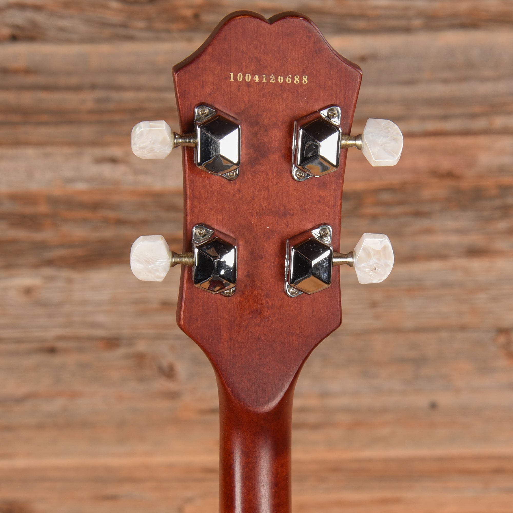Epiphone MB-100 Folk Instruments / Banjos