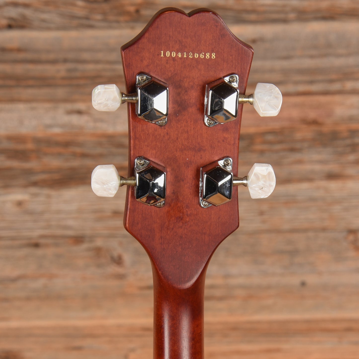 Epiphone MB-100 Folk Instruments / Banjos