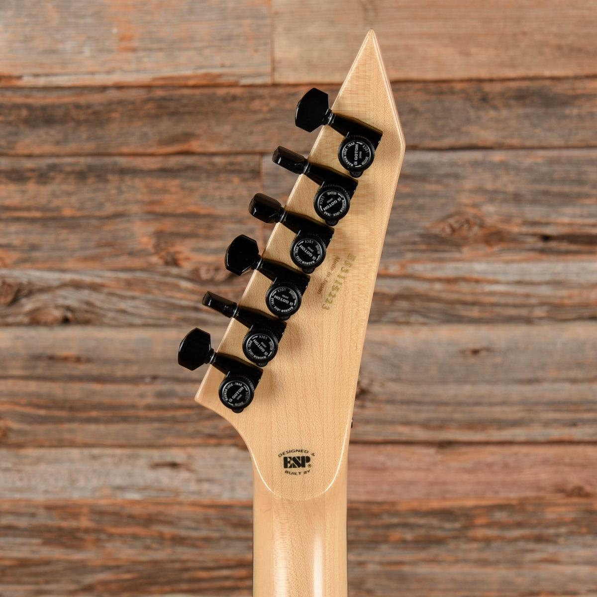 ESP Custom Shop M-II Custom Airbrush Artwork Electric Guitars