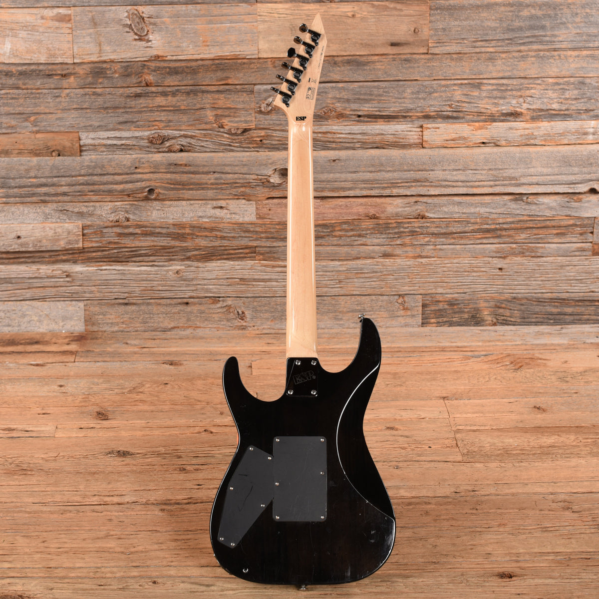 ESP LTD M-100FM Transparent Black Electric Guitars