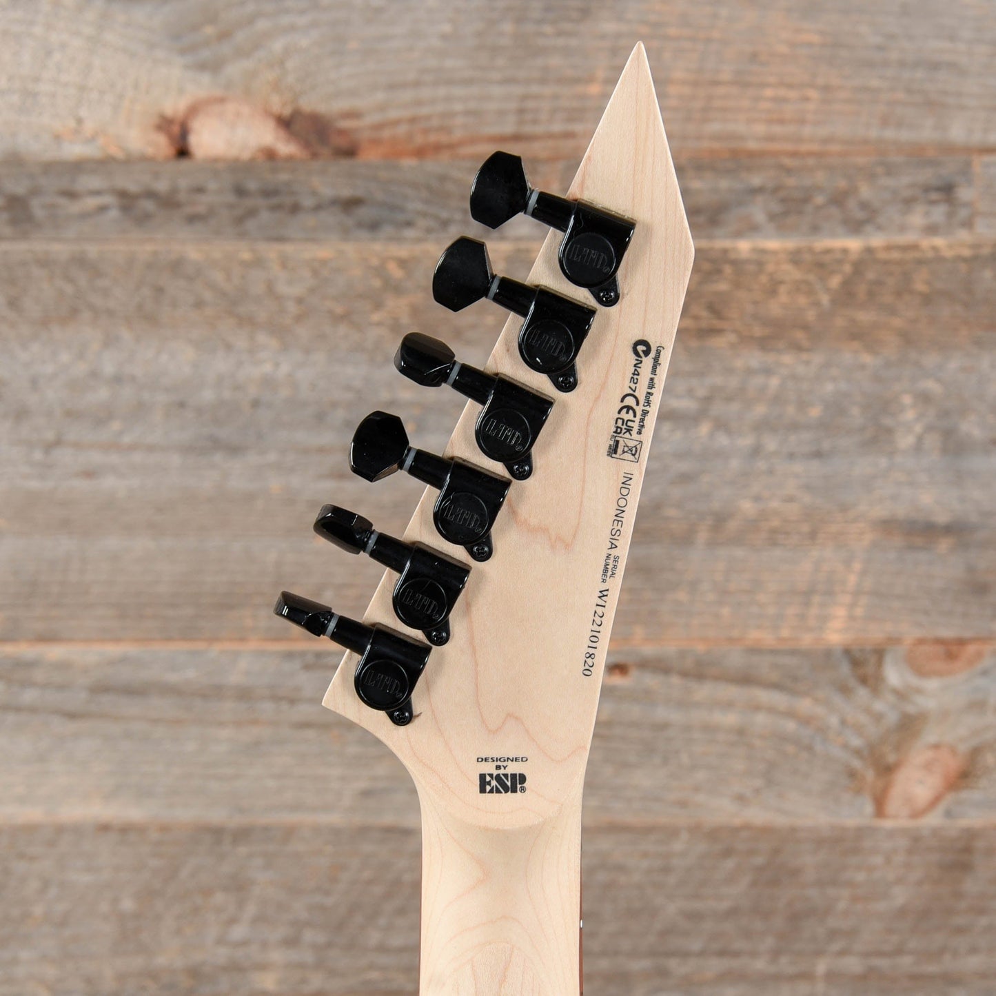 ESP LTD Kirk Hammett Signature KH-202 Black Electric Guitars / Solid Body