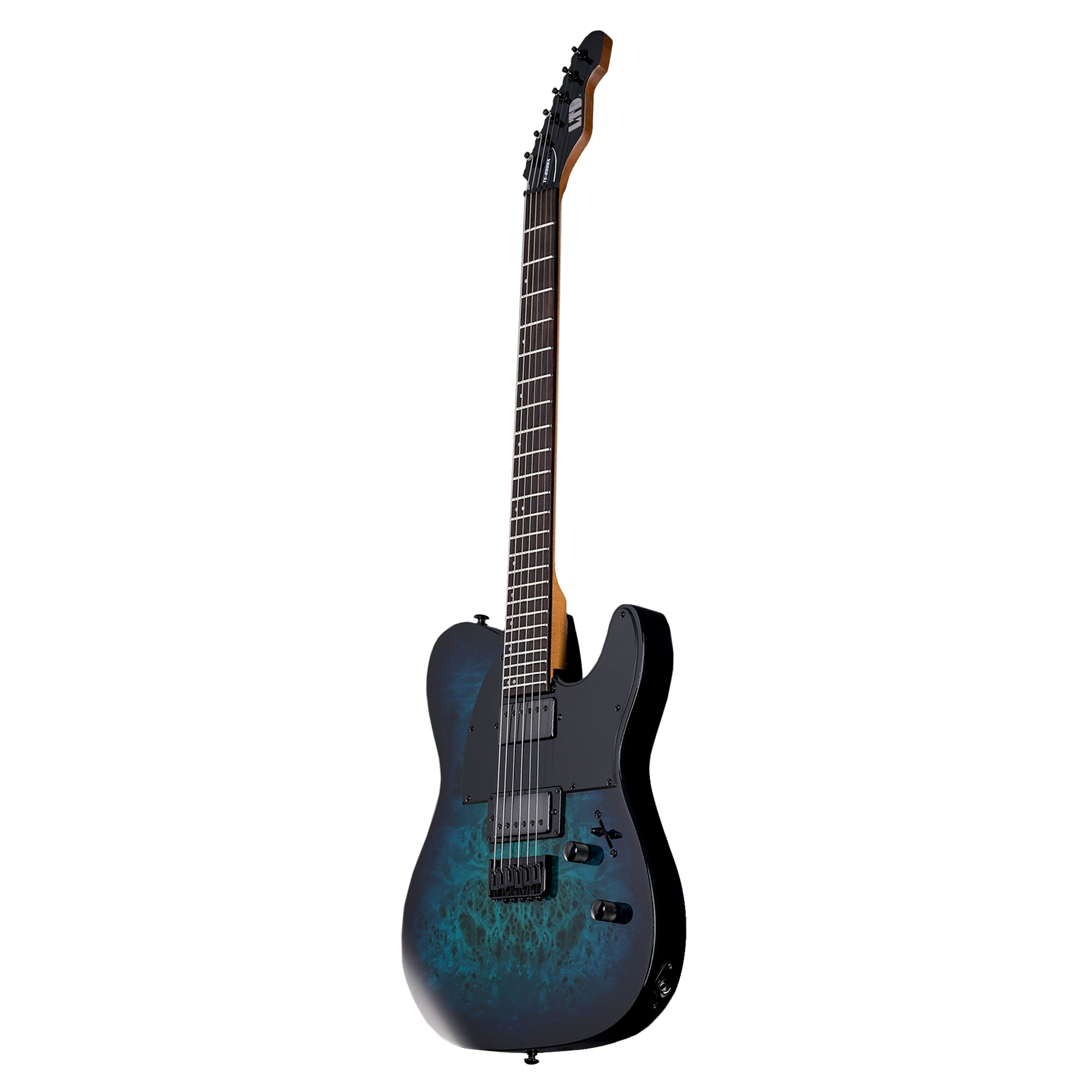 ESP LTD TE-200DX Electric Guitar Blue Burst Electric Guitars / Solid Body