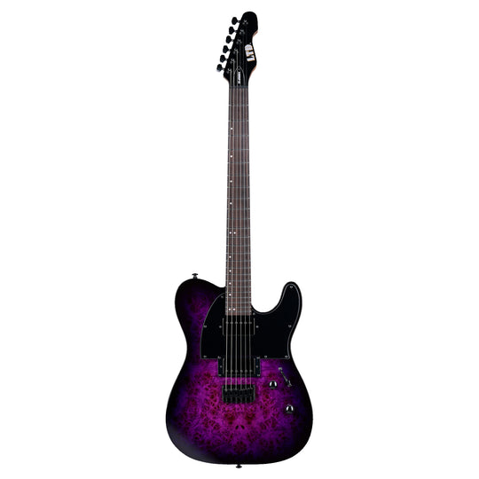 ESP LTD TE-200DX Electric Guitar Purple Burst Electric Guitars / Solid Body