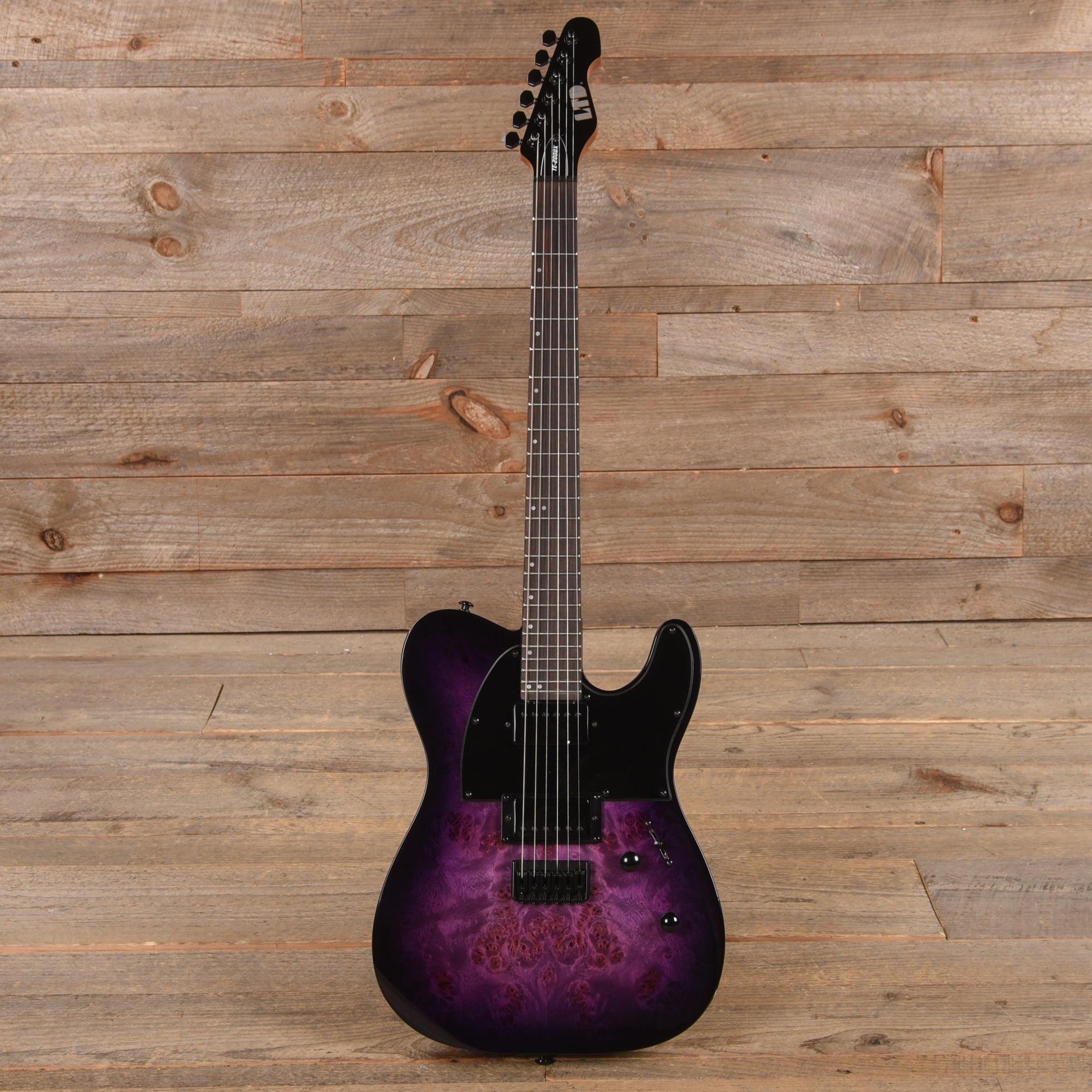ESP LTD TE-200DX Electric Guitar Purple Burst Electric Guitars / Solid Body