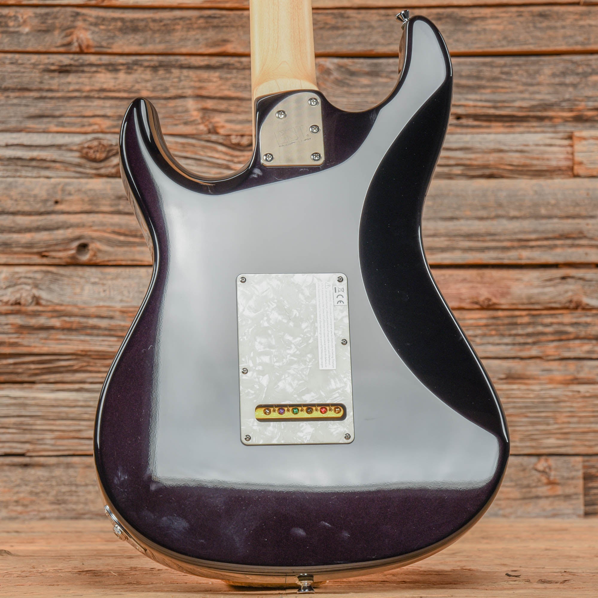 ESP Swapper CTM Original Purple Electric Guitars / Solid Body