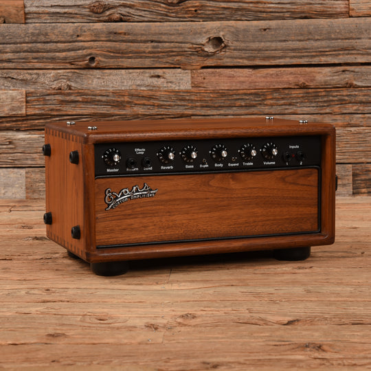 Evans E250HV Amps / Guitar Amps / Guitar Cabinets