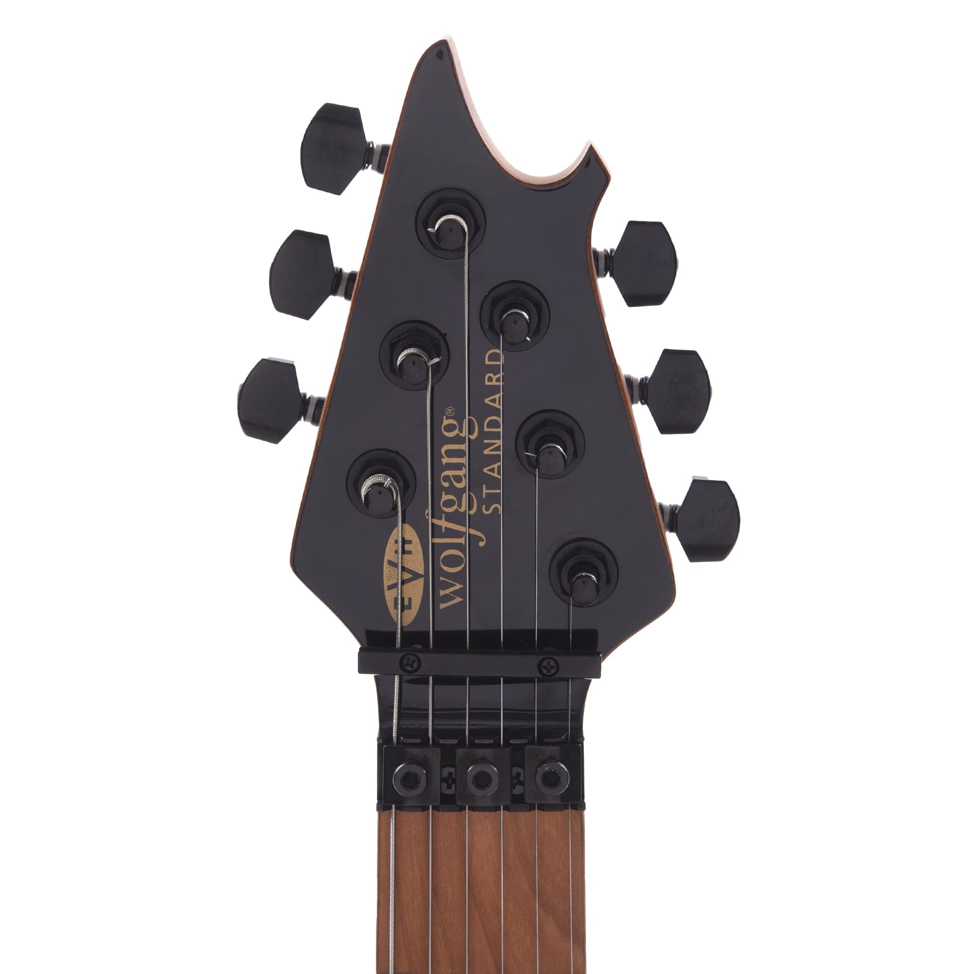 EVH Wolfgang WG Standard Absinthe Frost Electric Guitars / Solid Body